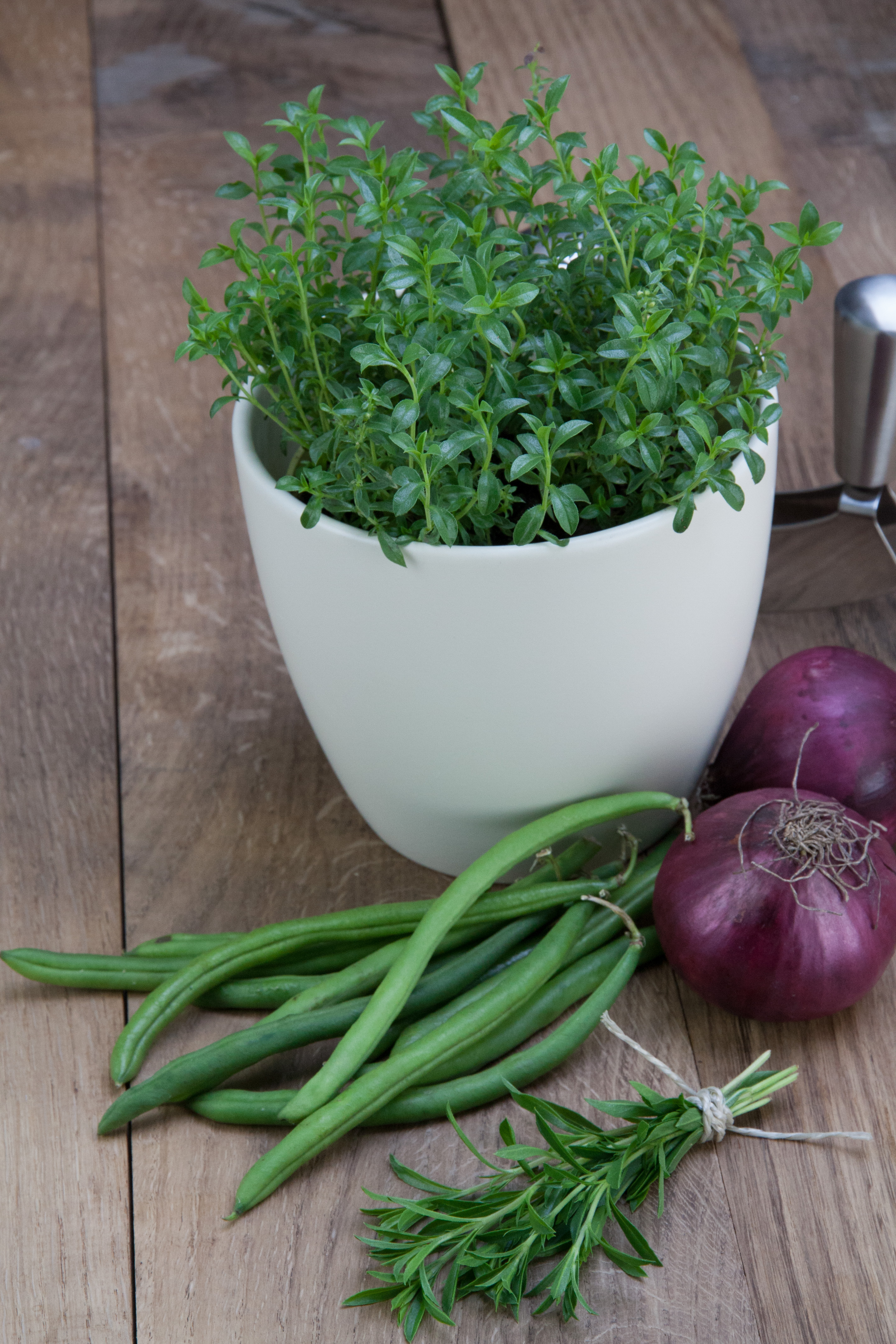Bohnenkraut-9687 – Blu – Kräuter &amp; Gemüse - So gesund kann lecker sein.