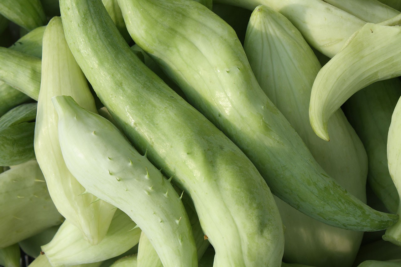 Gefüllte Schmor Gurke Rezept