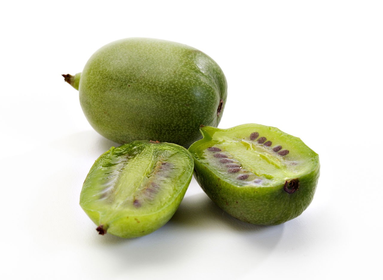 - So – Blu Mini-Kiwi Gemüse & – lecker Kräuter kann gesund