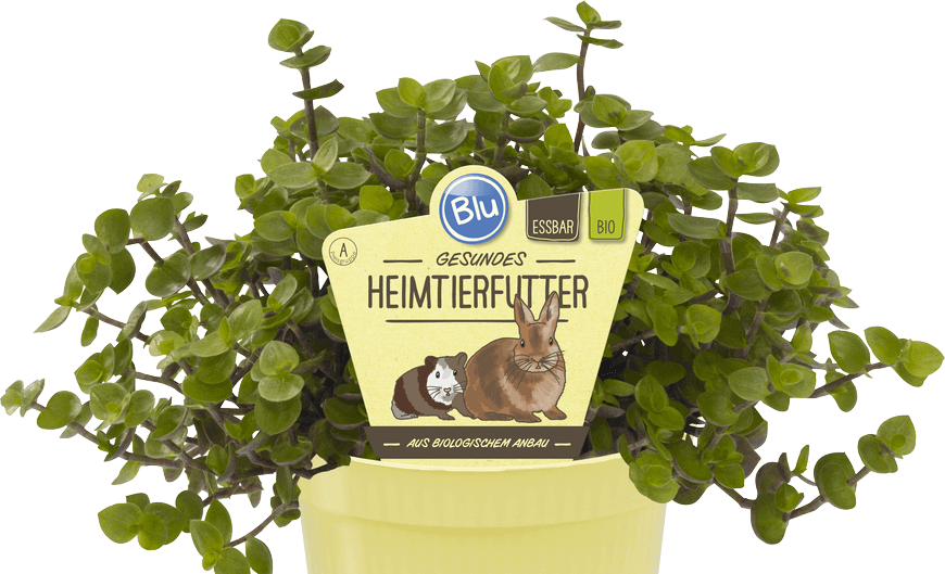 Blu - Gesundes Heimtierfutter