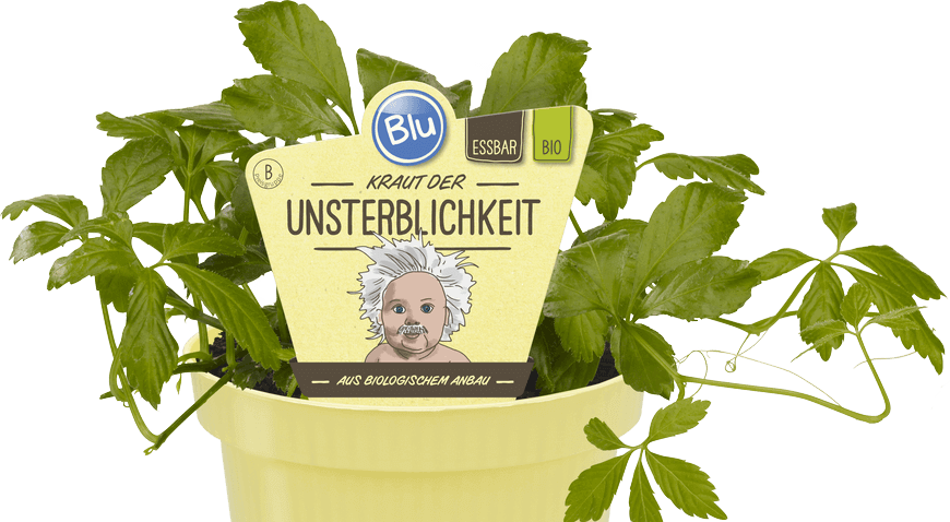 Blu - Kraut der Unsterblichkeit