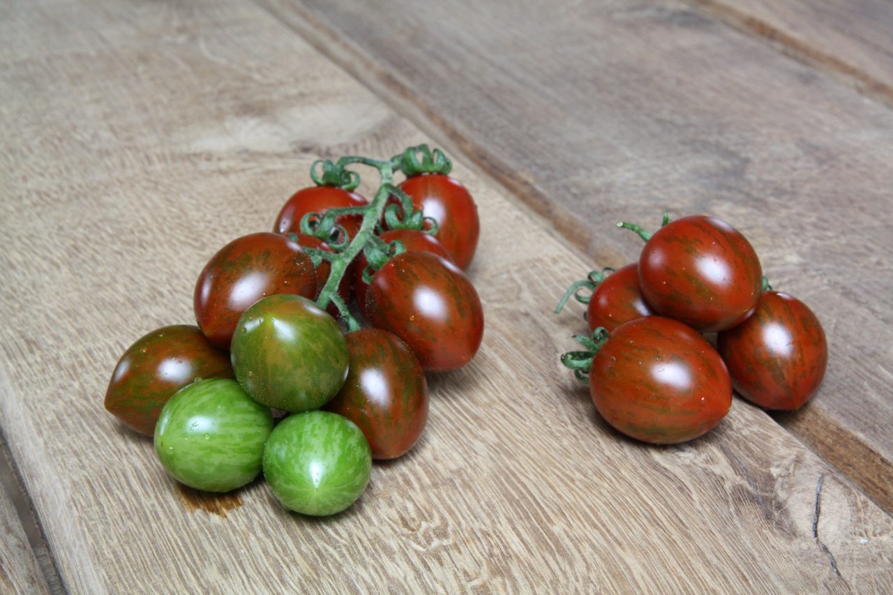 Tomate Balkonia – Blu – Kräuter &amp; Gemüse - So gesund kann lecker sein.