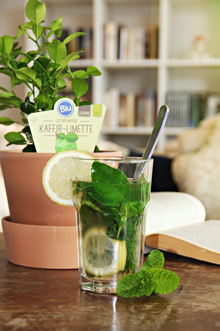 Marokkanischer Minztee mit Kaffir-Limette – Blu – Kräuter & Gemüse - So ...
