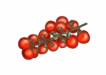 Blu Zuckersüsse Cherry-Tomate