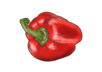 Blu Rote Snack-Paprika