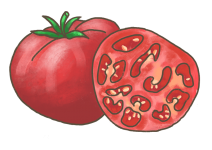 Blu ‘ROSE CRUSH‘ Salat-Tomate