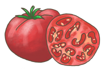 Blu ‘Rose Crush‘ Salat-Tomate