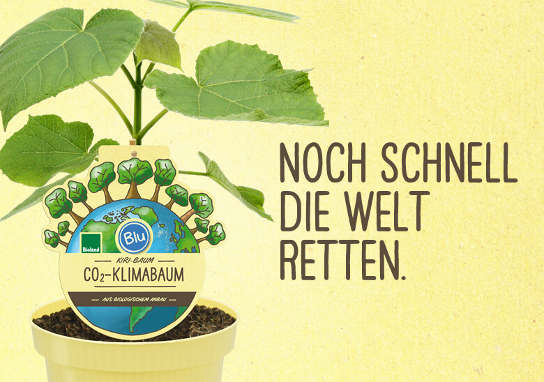 Blu_Website_Header_flach_Mobil_780x548_Klimabaum