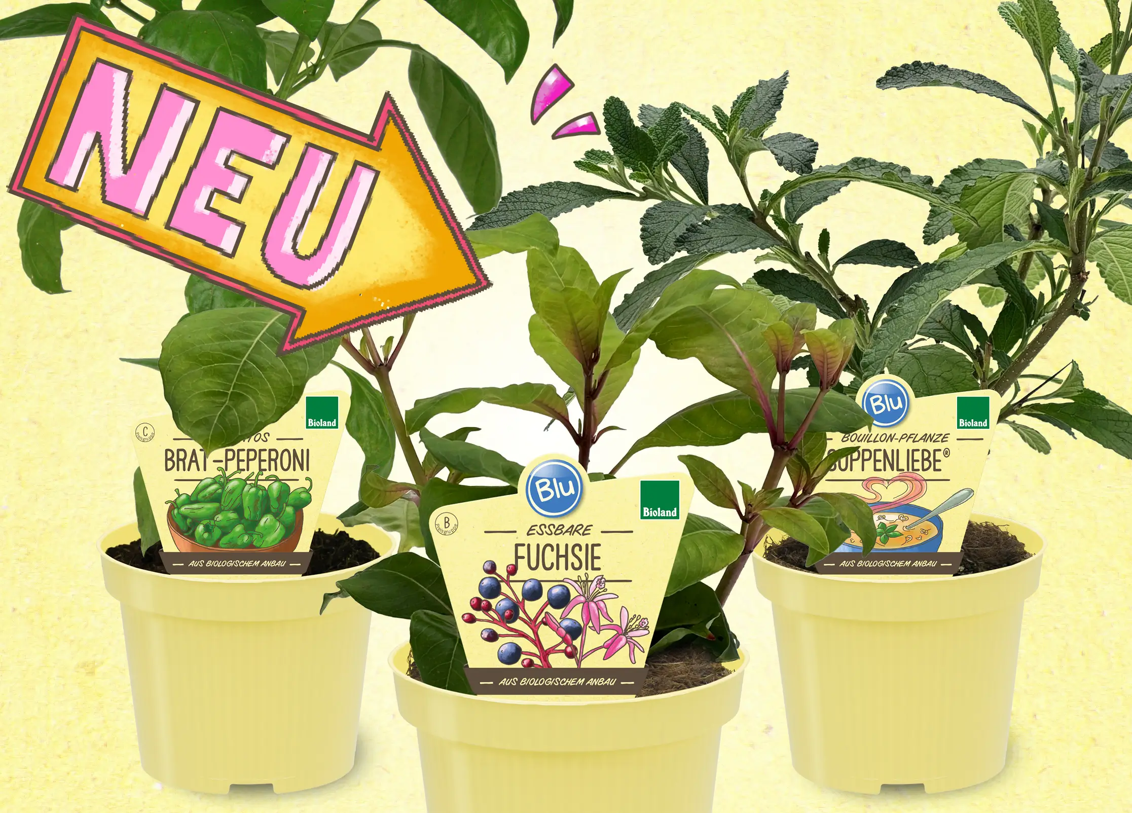 Blu_Website_News-Buttons_2026_1072x770