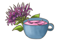 Blu Pink Tee-Monarde