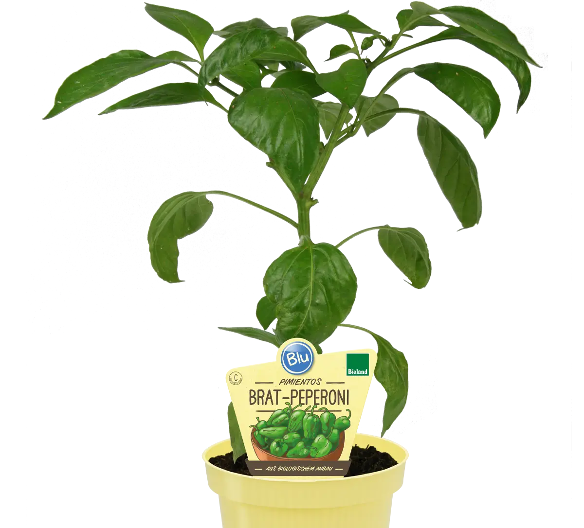 Blu - Pimientos Brat-Peperoni